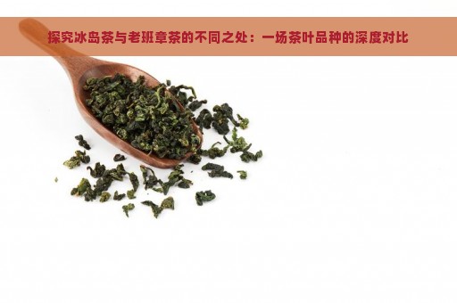 探究冰岛茶与老班章茶的不同之处：一场茶叶品种的深度对比