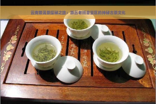 云南普洱茶探秘之旅：游历老班章景区的神秘古茶文化