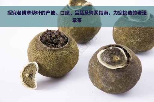 探究老班章茶叶的产地、口感、品质及购买指南，为您挑选的老班章茶