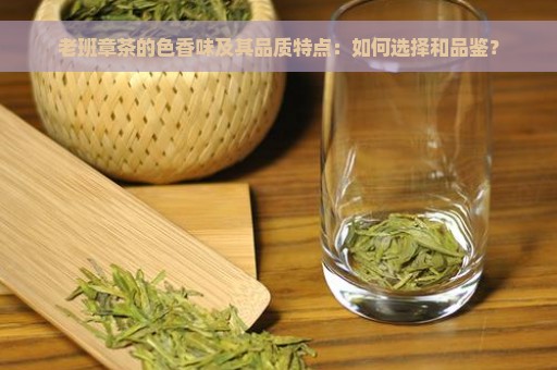 老班章茶的色香味及其品质特点：如何选择和品鉴？