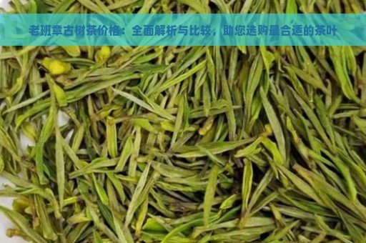 老班章古树茶价格：全面解析与比较，助您选购最合适的茶叶