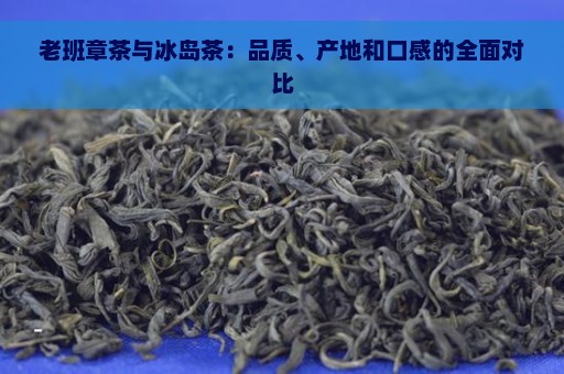 老班章茶与冰岛茶：品质、产地和口感的全面对比