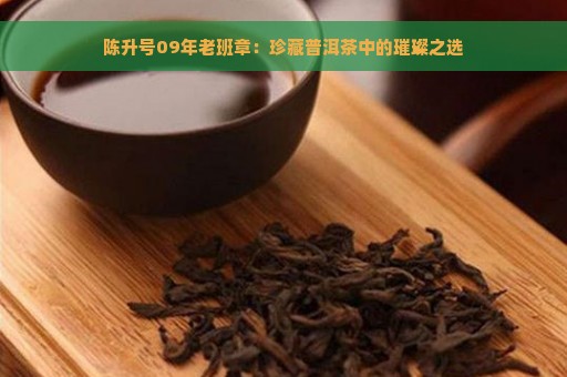 陈升号09年老班章：珍藏普洱茶中的璀璨之选