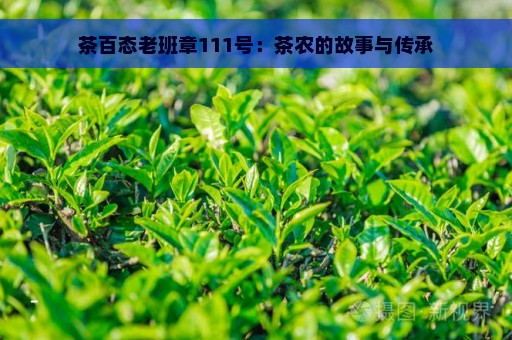 茶百态老班章111号：茶农的故事与传承