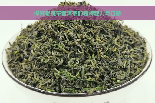 探究老班章普洱茶的独特魅力与口感