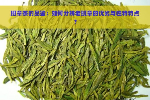 班章茶的品鉴：如何分辨老班章的优劣与独特特点？