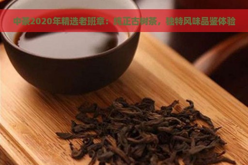 中茶2020年精选老班章：纯正古树茶，独特风味品鉴体验