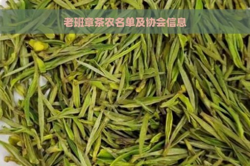 老班章茶农名单及协会信息