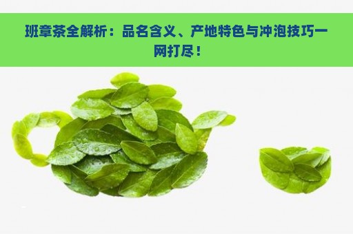 班章茶全解析：品名含义、产地特色与冲泡技巧一网打尽！