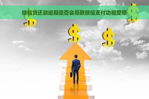 微粒贷还款逾期是否会导致微信支付功能受限