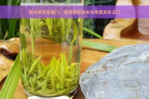 探访老班章寨门：普洱茶的故乡与传统文化之门