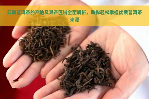 云南普洱茶的产地及其产区域全面解析，助你轻松掌握优质普洱茶来源