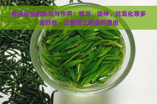 老班章茶的功效与作用：解渴、提神、抗氧化等多重好处，让你爱上喝茶的理由