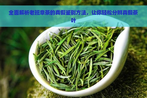 全面解析老班章茶的真假鉴别方法，让你轻松分辨真假茶叶