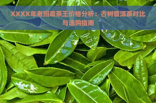 XXXX年老班章茶王价格分析：古树普洱茶对比与选购指南