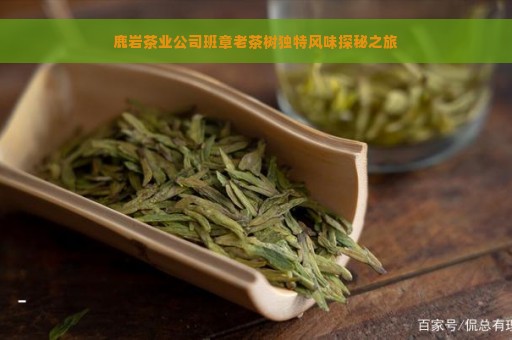 鹿岩茶业公司班章老茶树独特风味探秘之旅