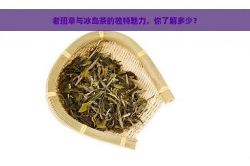 老班章与冰岛茶的独特魅力，你了解多少？