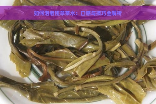 如何泡老班章茶水：口感与技巧全解析