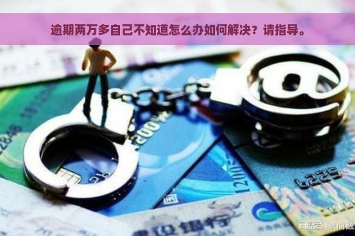 逾期两万多自己不知道怎么办如何解决？请指导。