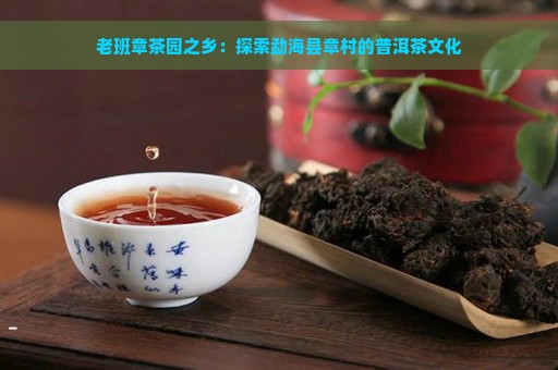 老班章茶园之乡：探索勐海县章村的普洱茶文化