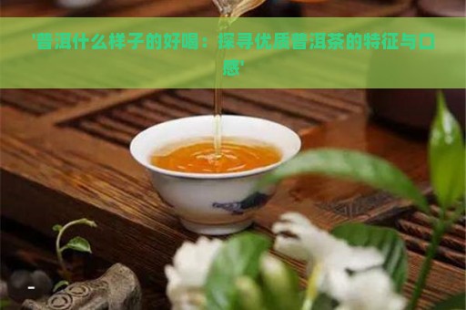 '普洱什么样子的好喝：探寻优质普洱茶的特征与口感'