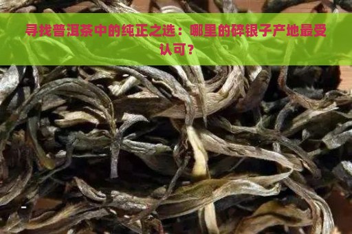 寻找普洱茶中的纯正之选：哪里的碎银子产地最受认可？