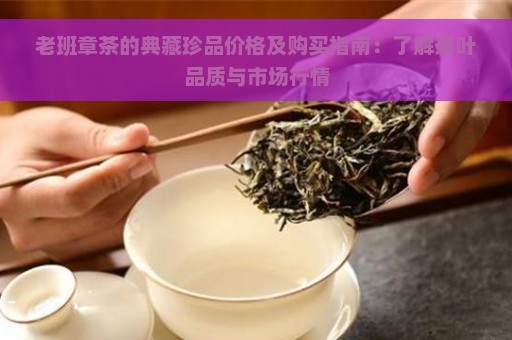 老班章茶的典藏珍品价格及购买指南：了解茶叶品质与市场行情