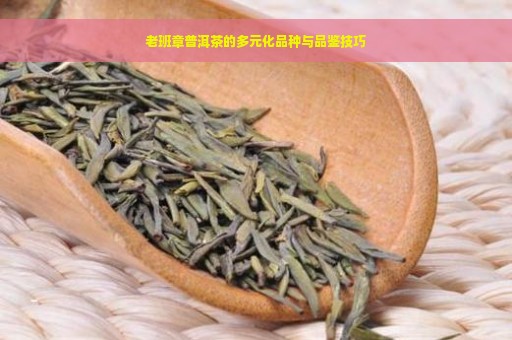 老班章普洱茶的多元化品种与品鉴技巧