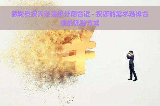 微粒贷按天还是按分期合适 - 按您的需求选择合适的还款方式