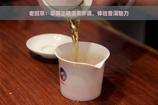 老班章：掌握正确泡茶步骤，体验普洱魅力