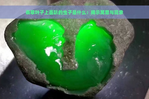 翡翠叶子上面趴的虫子是什么：揭示寓意与现象