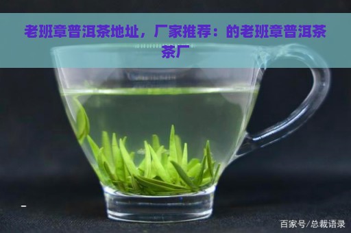 老班章普洱茶地址，厂家推荐：的老班章普洱茶茶厂