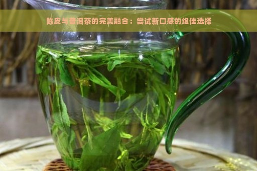 陈皮与普洱茶的完美融合：尝试新口感的绝佳选择