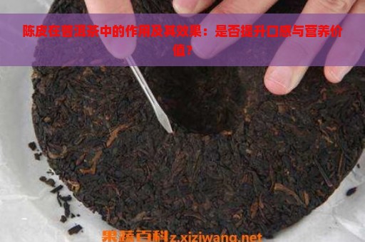 陈皮在普洱茶中的作用及其效果：是否提升口感与营养价值？