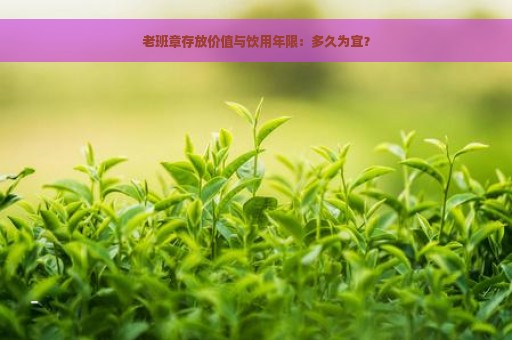 老班章存放价值与饮用年限：多久为宜？