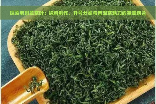 探索老班章茶叶：纯料制作、升号分类与普洱茶魅力的完美结合