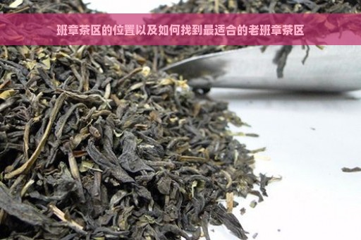 班章茶区的位置以及如何找到最适合的老班章茶区