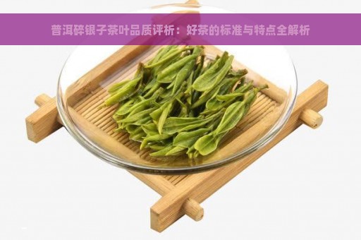 普洱碎银子茶叶品质评析：好茶的标准与特点全解析