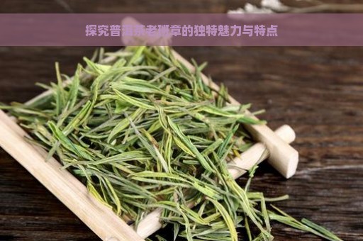 探究普洱茶老班章的独特魅力与特点