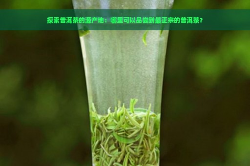 探索普洱茶的源产地：哪里可以品尝到最正宗的普洱茶？