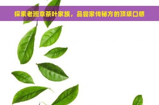 探索老班章茶叶家族，品尝家传秘方的顶级口感