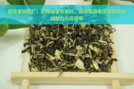 班章老树茶厂：勐海县著名茶叶，品味地道老班章茶的独特魅力与历传承