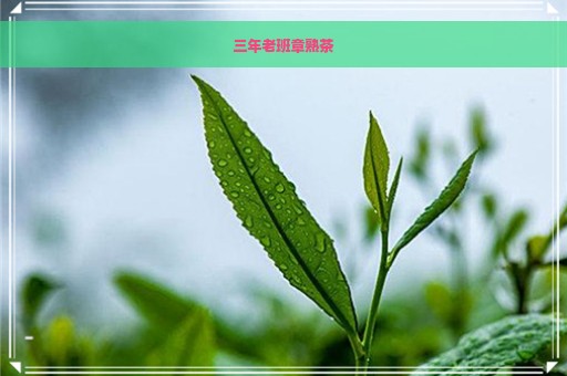 三年老班章熟茶