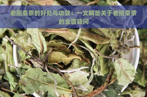 老班章茶的好处与功效：一文解答关于老班章茶的全面疑问