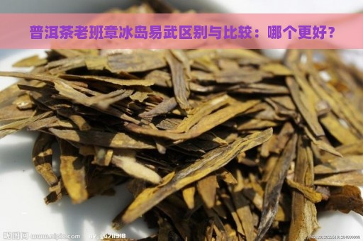 普洱茶老班章冰岛易武区别与比较：哪个更好？