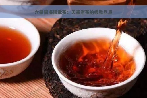 六星福海班章茶：天玺老茶的极致品质