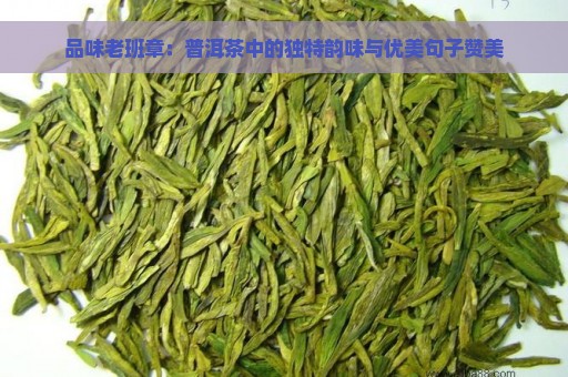 品味老班章：普洱茶中的独特韵味与优美句子赞美