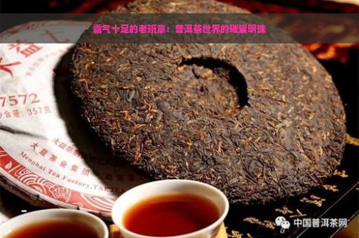 霸气十足的老班章：普洱茶世界的璀璨明珠