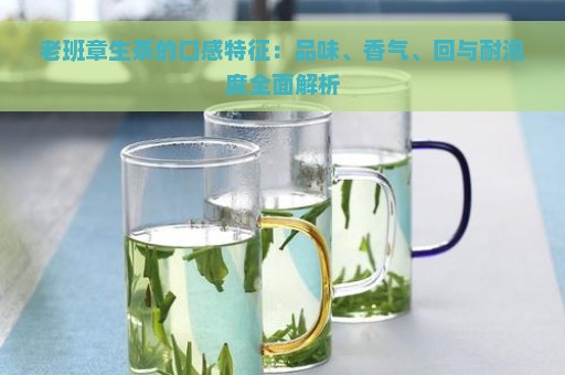 老班章生茶的口感特征：品味、香气、回与耐泡度全面解析