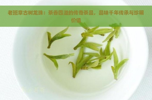 老班章古树龙珠：茶香四溢的传奇茶品，品味千年传承与珍稀价值